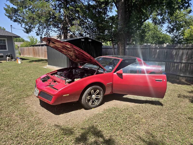 1982 Pontiac Firebird - Trans Am Hatchback 2D