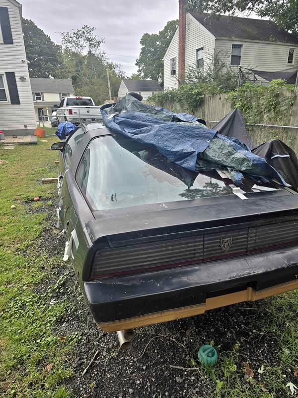 1984 Pontiac Firebird - Trans am
