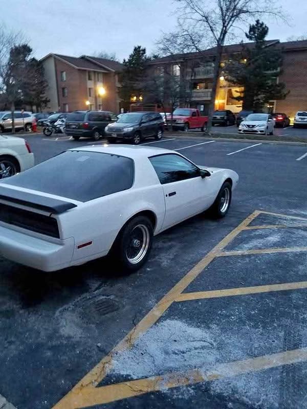 1991 Pontiac Firebird - Formula Hatchback 2D