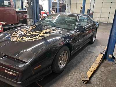 1982 Pontiac Firebird - Trans Am Hatchback 2D