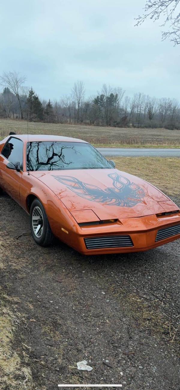 1984 Pontiac Firebird - Coupe 2D