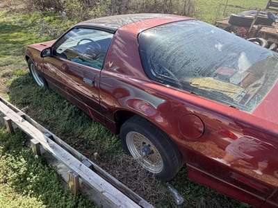1989 Pontiac Firebird TRANS AM