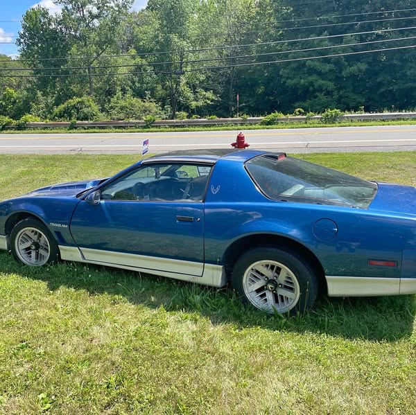1986 Pontiac pontiac+firebird