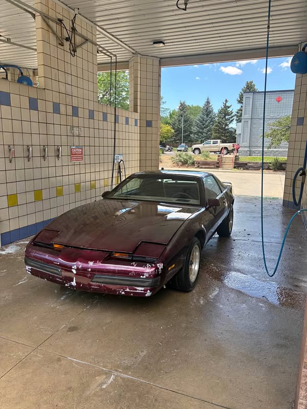 1984 Pontiac Firebird - Convertible 2D