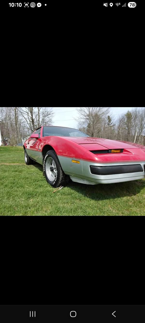 1986 Pontiac Firebird - Hatchback 2D