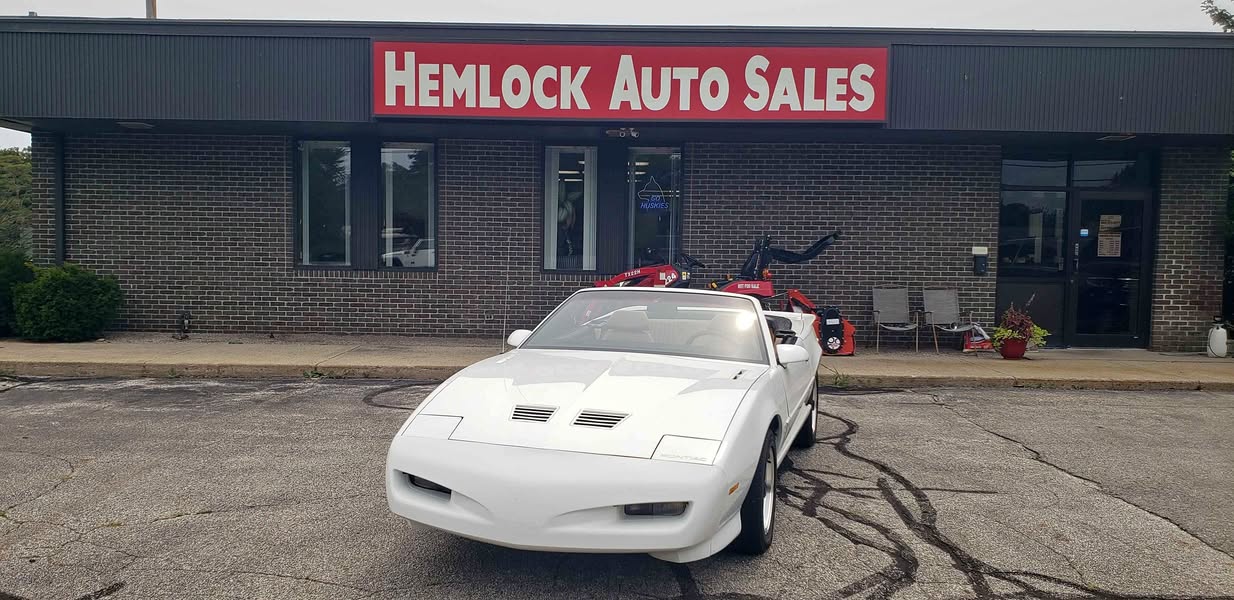 1991 Pontiac Firebird - Trans Am Convertible 2D
