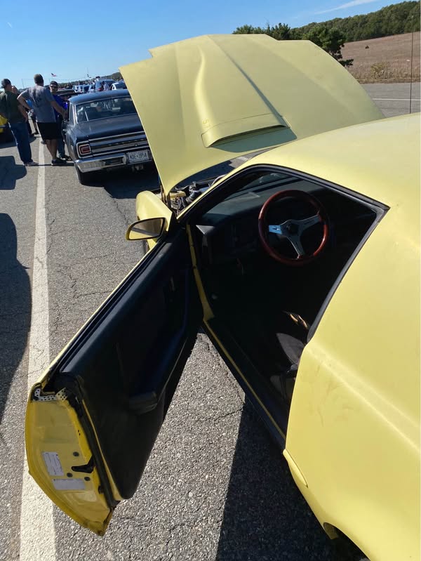 1988 Pontiac Firebird - Formula Coupe 2D