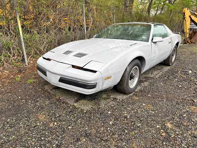 1986 Pontiac Firebird - Trans Am Coupe 2D