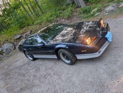 1987 Pontiac Trans Am - Firebird