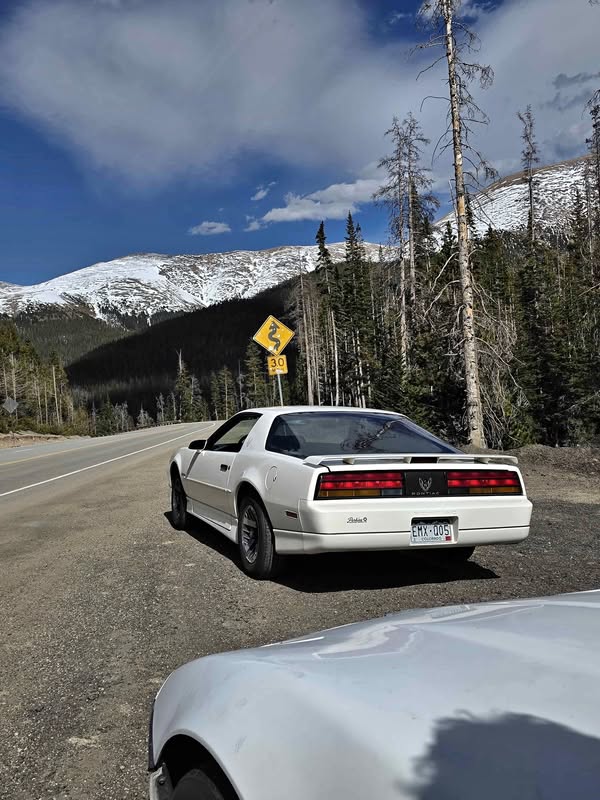 1989 Pontiac Firebird - Coupe 2D