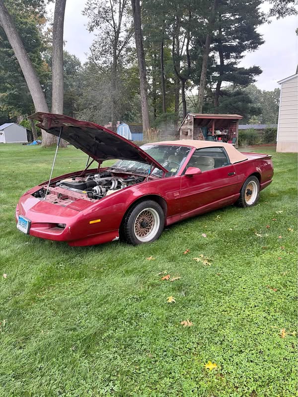 1992 Pontiac Firebird - Trans Am Convertible 2D