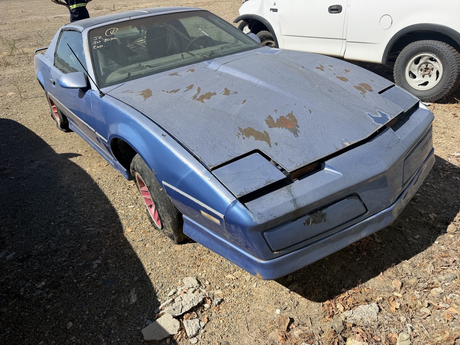 1984 Pontiac Firebird TRANS AM
