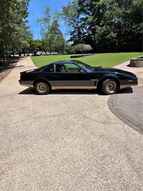 1983 Pontiac Trans Am - Firebird