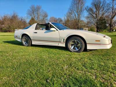 1985 Pontiac Firebird TRANS AM