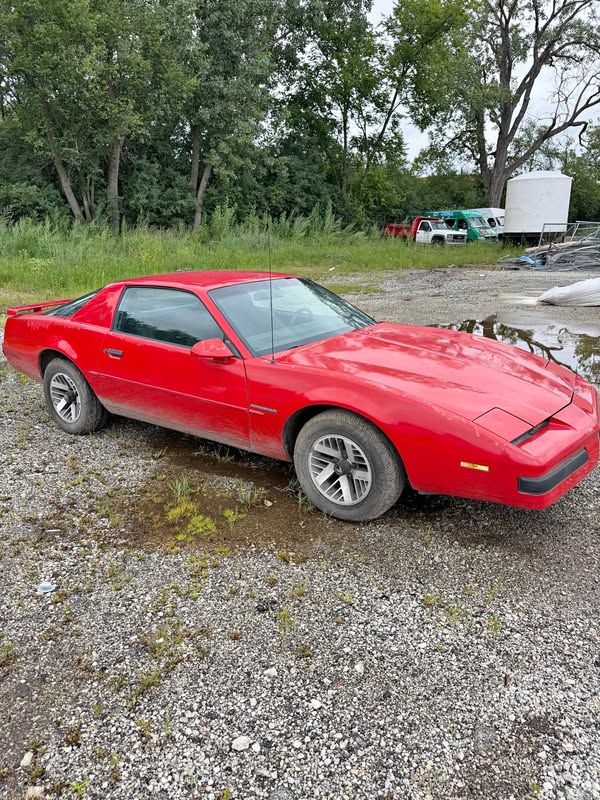 1989 Pontiac Firebird - Trans Am GT Hatchback 2D