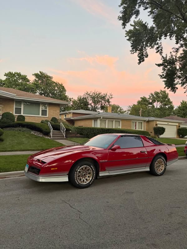 1984 Pontiac Firebird - Trans Am Hatchback 2D