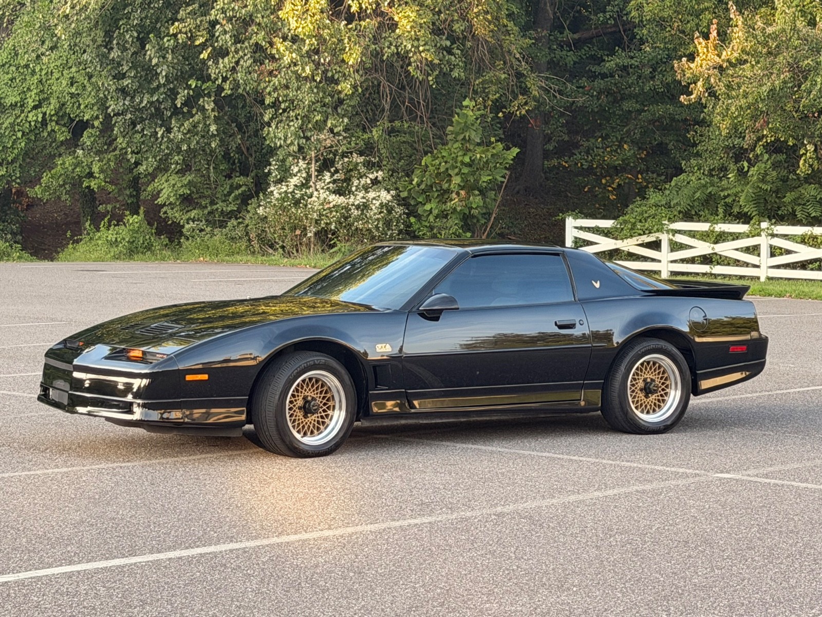 1988 Pontiac Firebird TRANS AM
