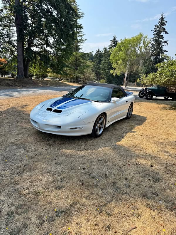 1996 Pontiac Firebird - Trans Am Convertible 2D