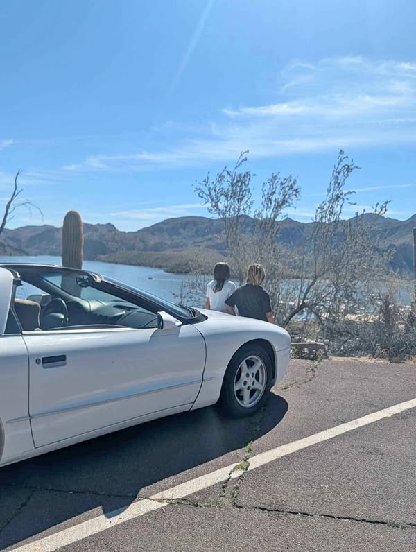 1995 Pontiac Firebird - Formula Hatchback 2D