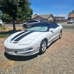 1998 Pontiac Firebird Trans Am