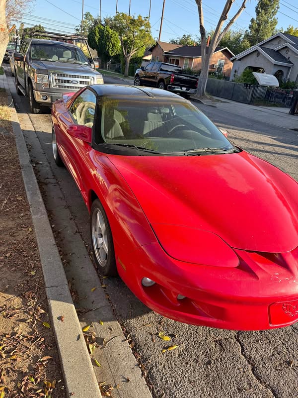 1999 Pontiac Firebird - Formula Coupe 2D
