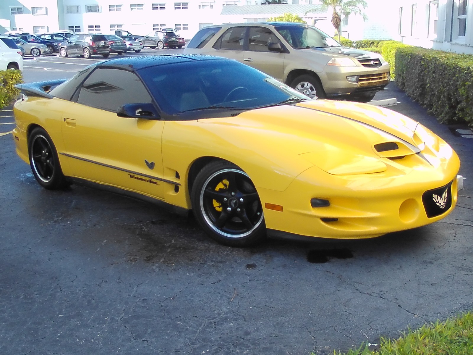 2002 Pontiac Firebird FORMULA