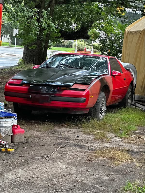 1987 Pontiac Firebird - Formula Coupe 2D