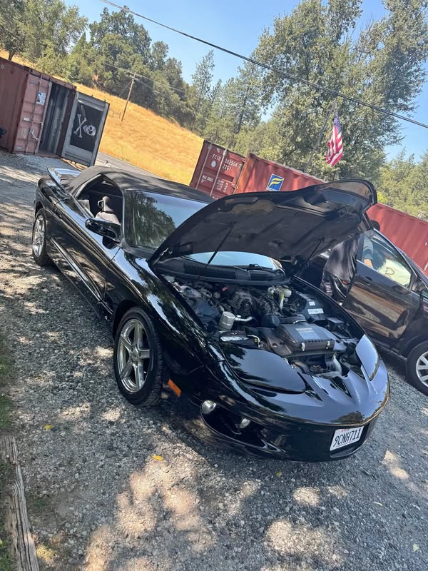 1998 Pontiac Firebird - Convertible 2D