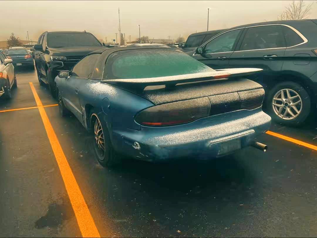 1995 Pontiac Firebird - Formula Hatchback 2D