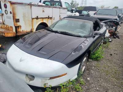 1995 Pontiac Firebird - Trans Am Convertible 2D