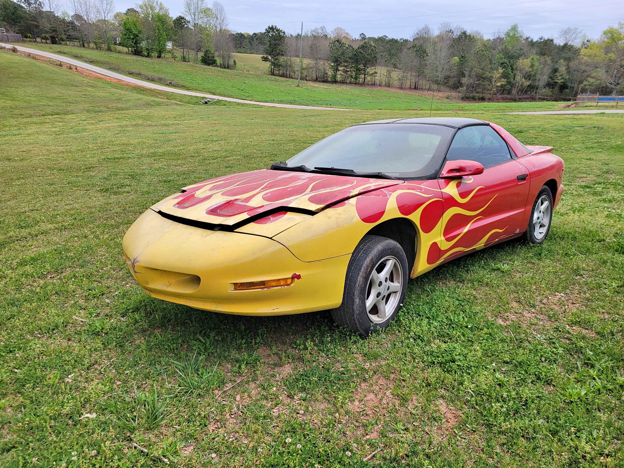1996 Pontiac Firebird - Coupe 2D