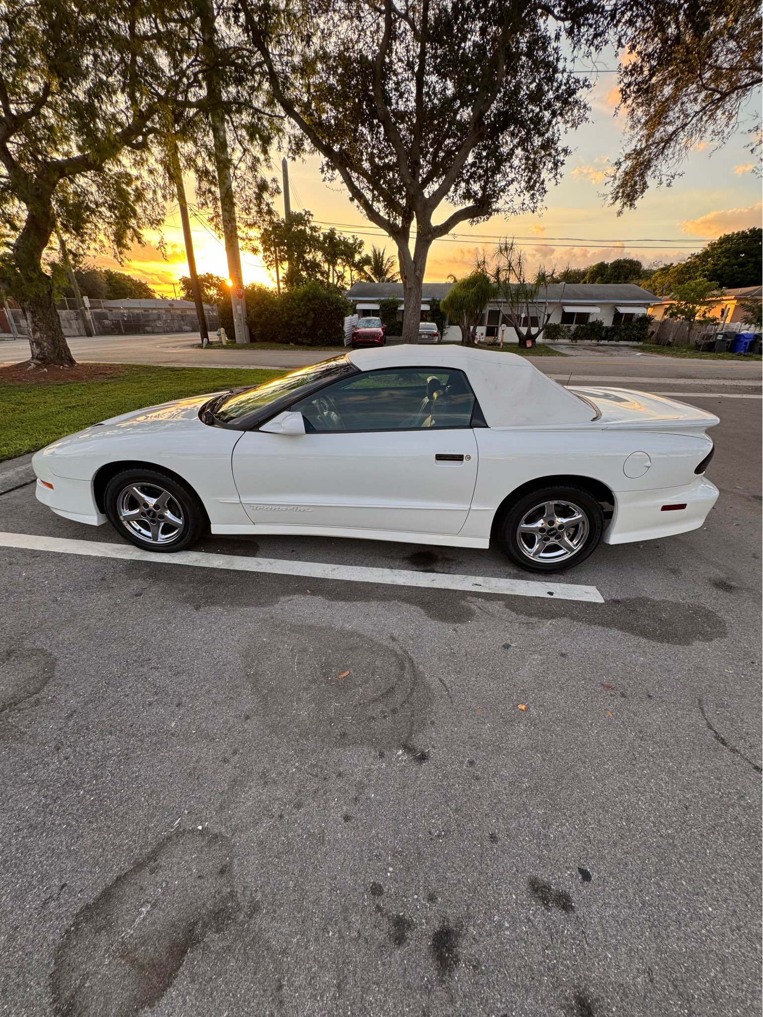 1997 Pontiac Firebird - Trans Am Convertible 2D