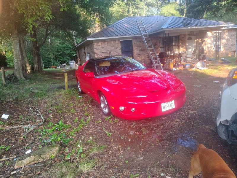 1998 Pontiac Firebird - Hatchback 2D