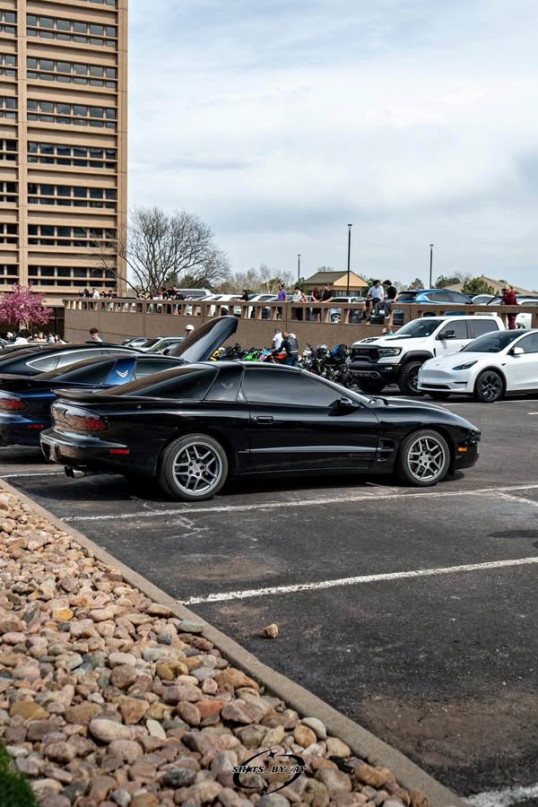 2002 Pontiac Firebird - Formula Coupe 2D