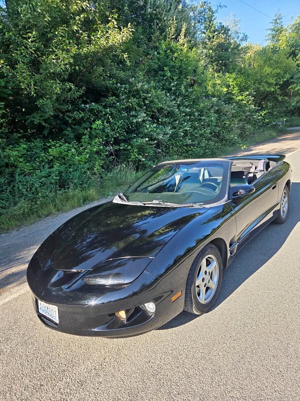 2002 Pontiac Firebird - Convertible 2D