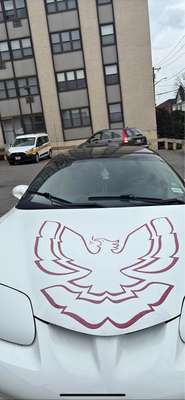 2001 Pontiac Firebird