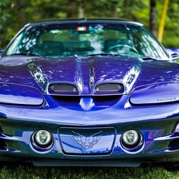 2001 Pontiac Firebird Trans\\Am WS6 Manual