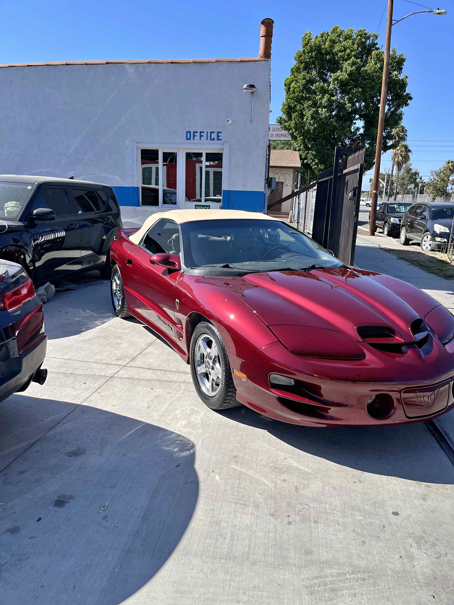 2000 Pontiac Firebird - Convertible 2D
