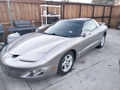 2002 Pontiac Firebird - Coupe 2D