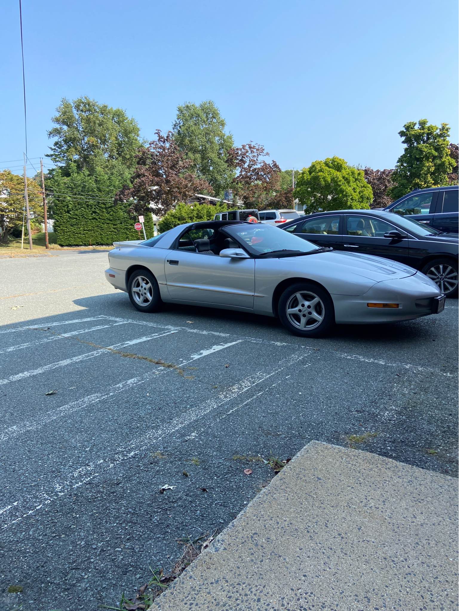 1996 Pontiac Firebird - Formula Coupe 2D