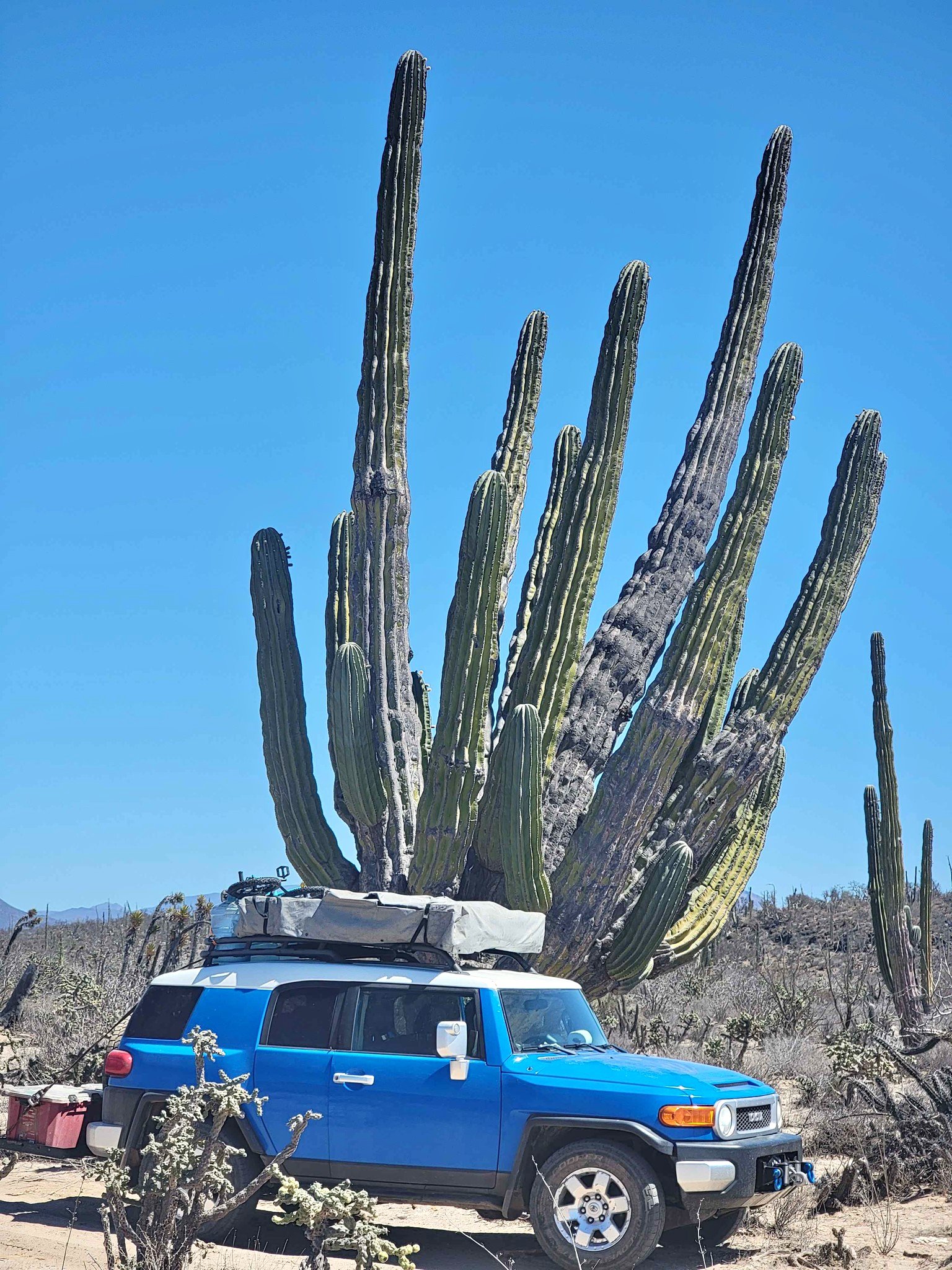 2007 Toyota FJ Cruiser - Sport Utility 2D