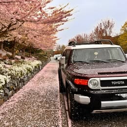 2007 Toyota FJ Cruiser For Sale