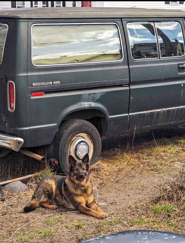 1980 Ford Econoline E350 Cargo - Van