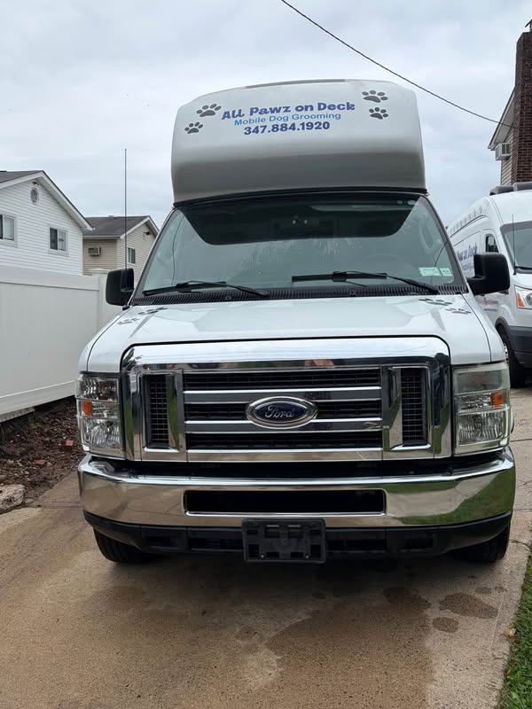 2011 Ford Econoline Van