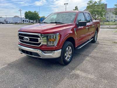 2023 Ford F150 SuperCrew Cab - XLT Pickup 4D 5 1\/2 ft