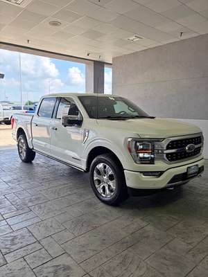 2021 Ford F-150 - PLATINUM
