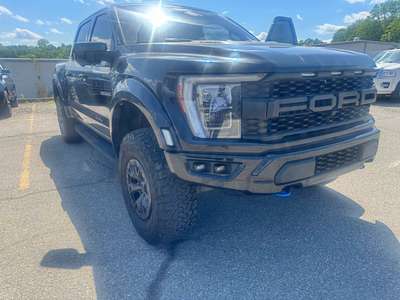 2021 Ford F-150 - Raptor Pickup 4D 5 1\/2 ft