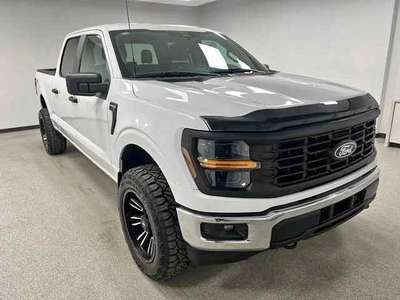 2024 Ford F150 Regular Cab - XL Pickup 2D 6 1\/2 ft