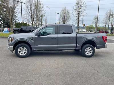 2023 Ford F-150 - XLT