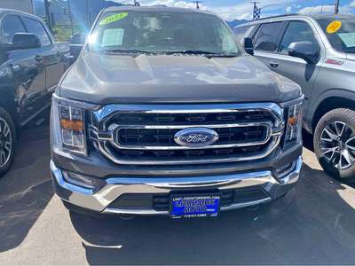 2023 Ford F-150 - XLT Pickup 4D 5 1\/2 ft